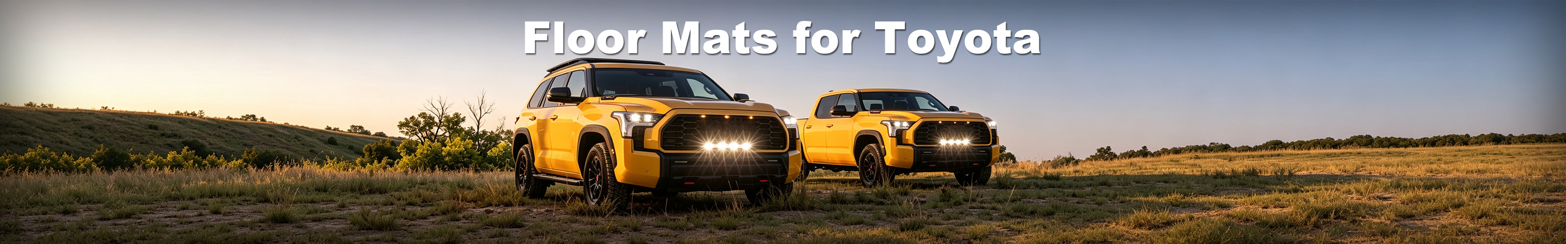 Floor Mats for Toyota