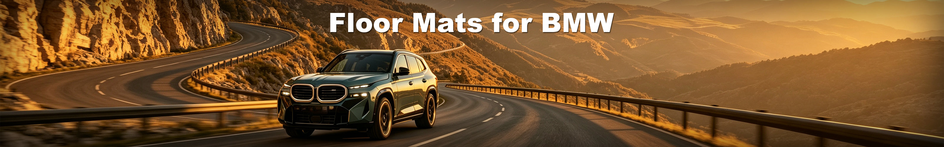 Floor Mats for BMW