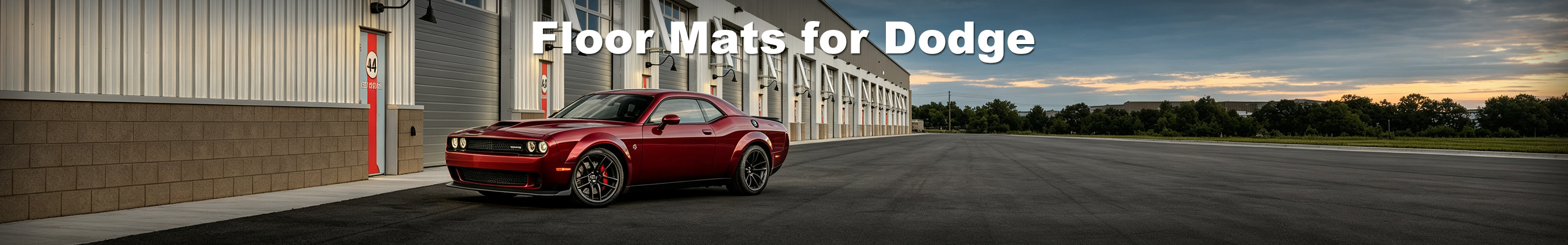 Floor Mats for Dodge