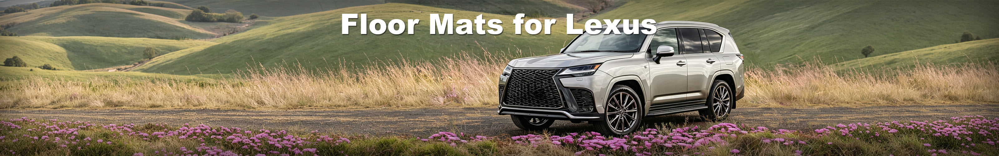 Floor Mats for Lexus